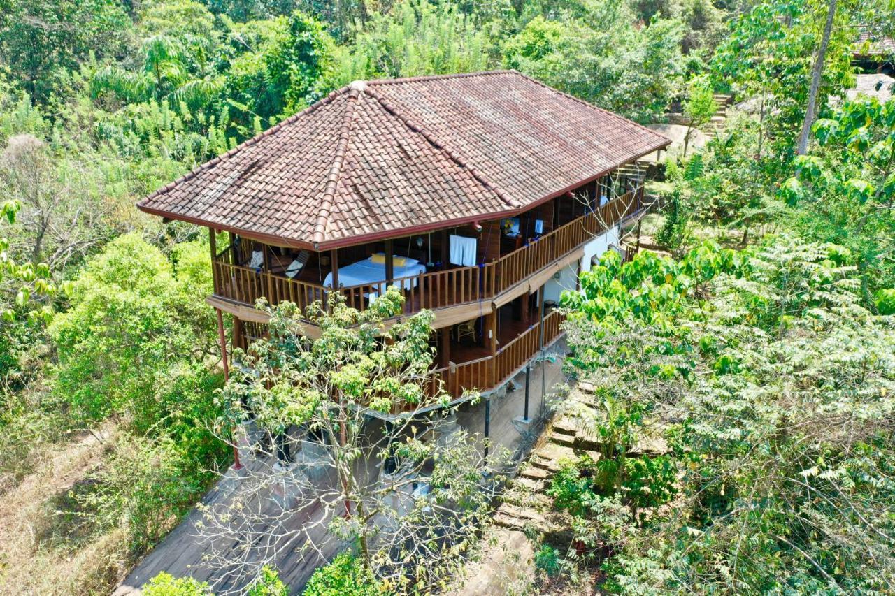 Wanakaset Forest Glamping Kitulgala Exterior photo