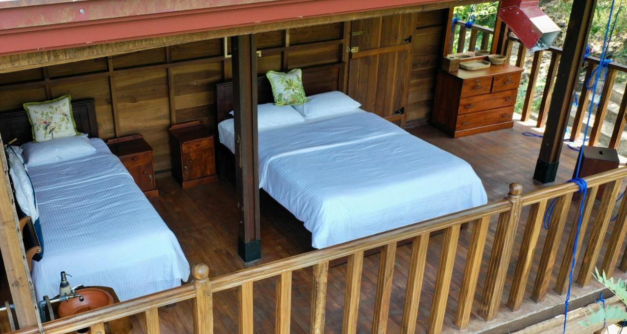 Wanakaset Forest Glamping Kitulgala Exterior photo