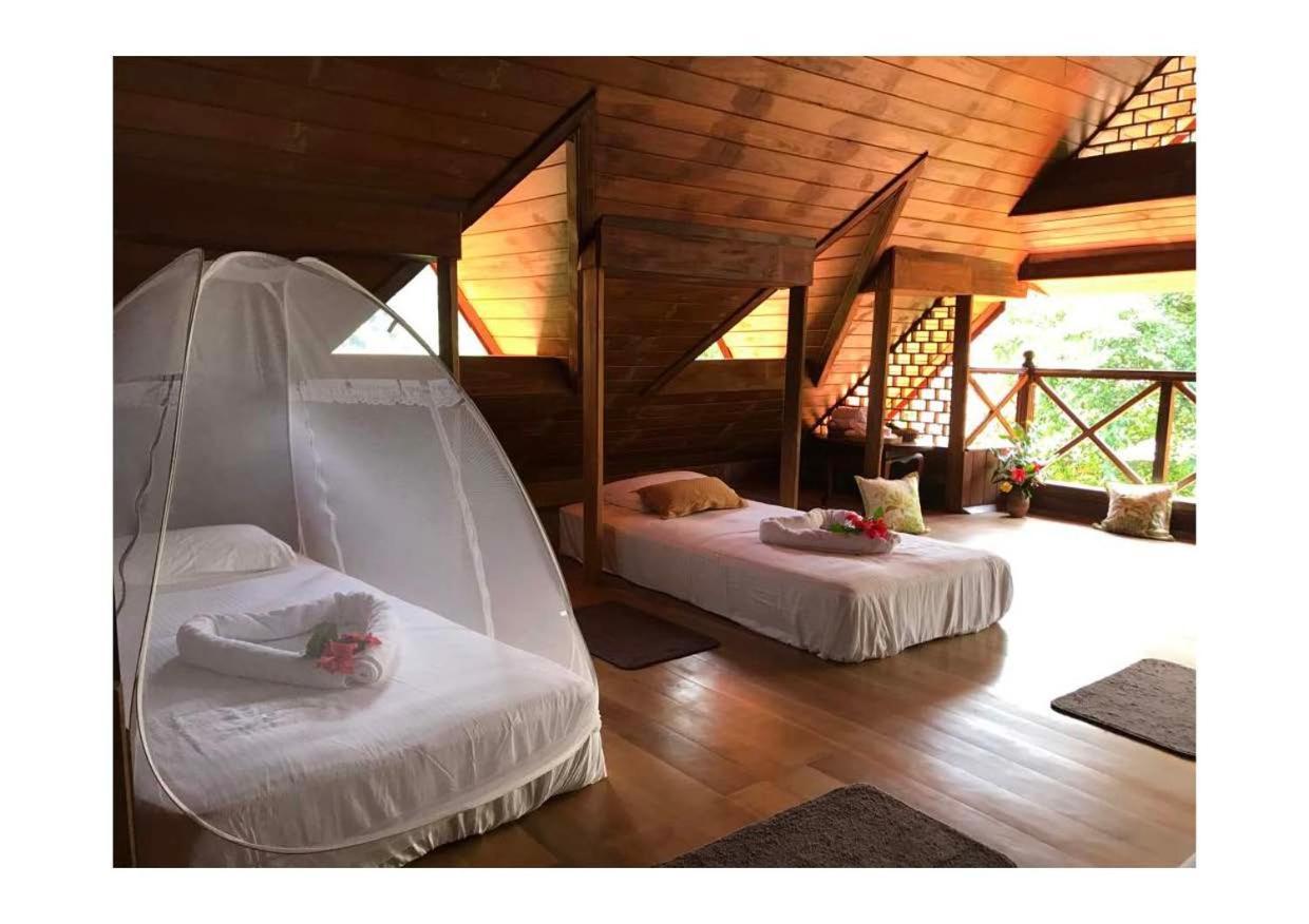 Wanakaset Forest Glamping Kitulgala Exterior photo